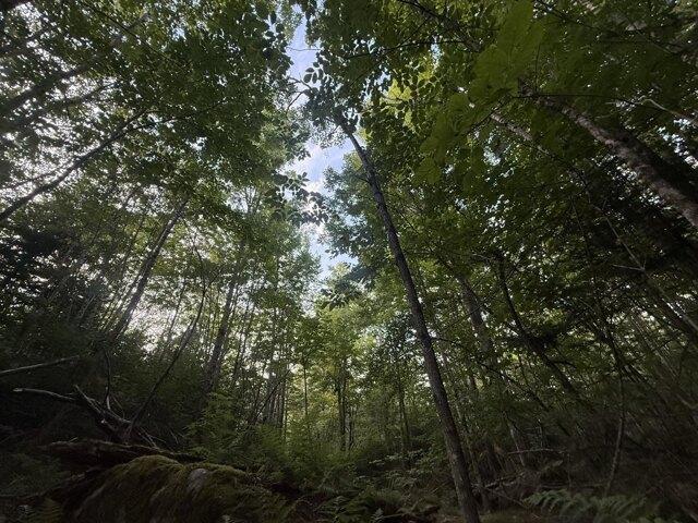 House for sale in Waldo, Maine