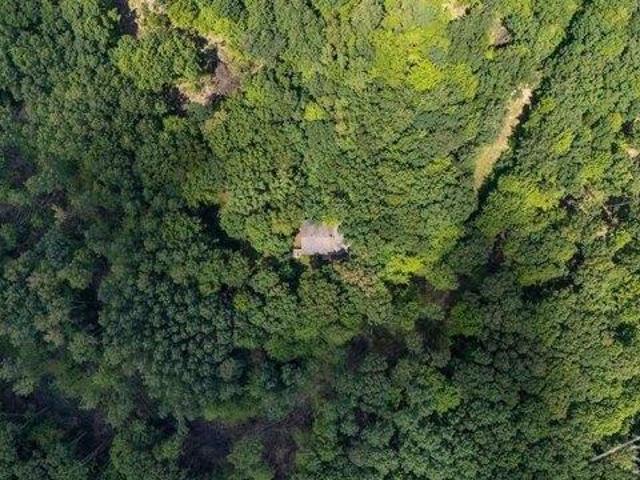 House for sale in Vestaburg, Michigan