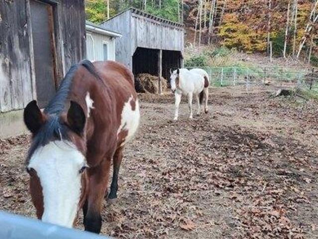 House for sale in East Waterboro, Maine