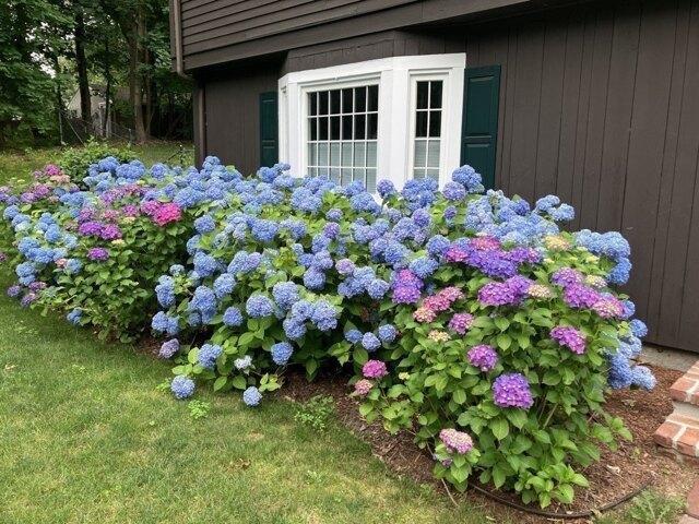 House for sale in Wayland, Middlesex County