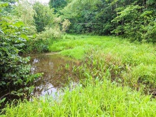 House for sale in Wayne, Maine