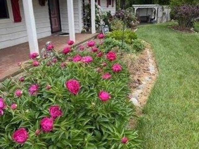 House for sale in Wilkesboro, North Carolina