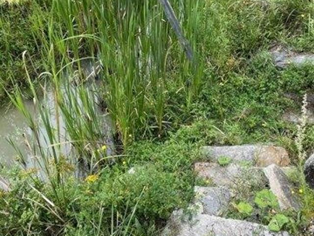House for sale in Yarmouth, Maine