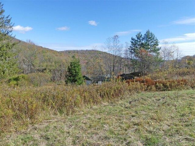 House for sale in Andes, New York