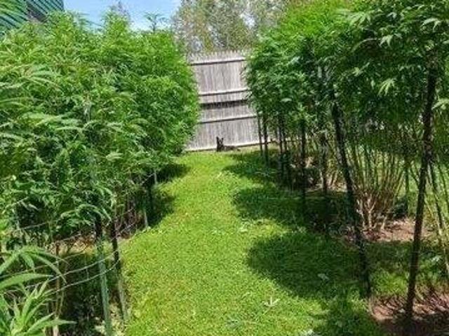 House for sale in Andover, Maine