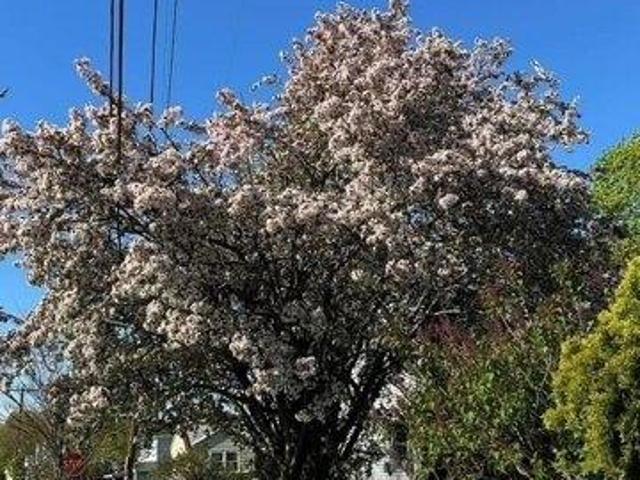 House for sale in Barrington, Rhode Island