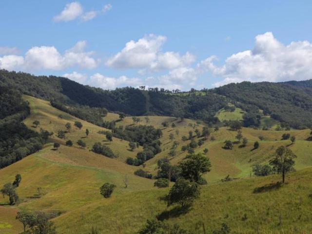House for sale in Bellbrook, New South Wales