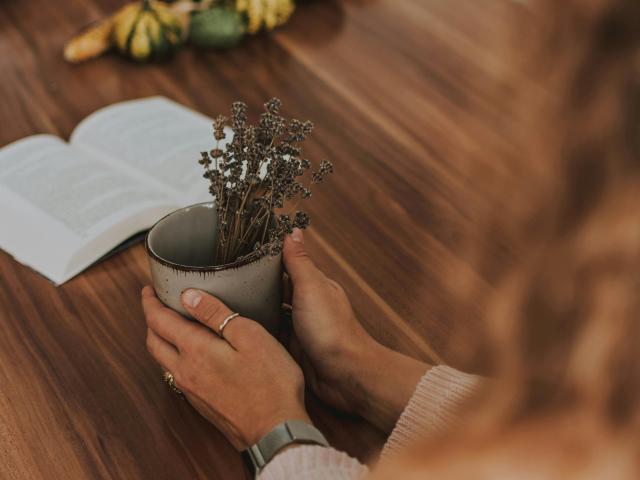 House for sale in Methul, Queensland