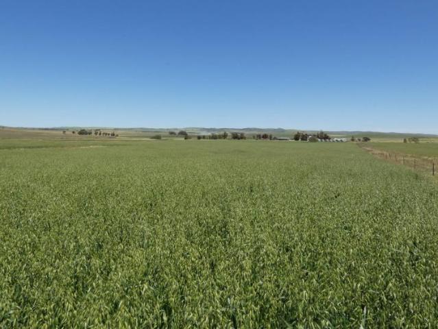 House for sale in Goyder, South Australia
