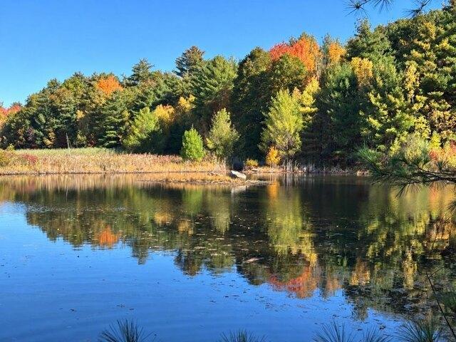 House for sale in Walnut Ledge, Colchester