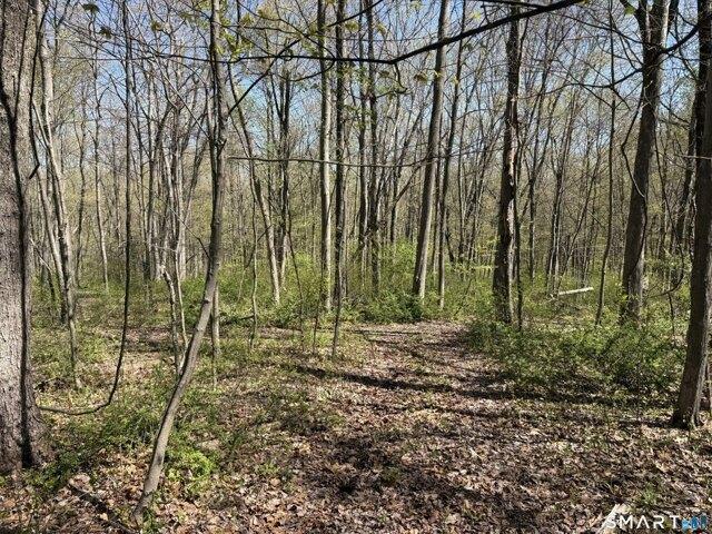 House for sale in King Street, Danbury