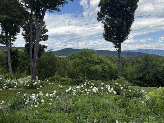 House for sale in Jamaica, Windham County