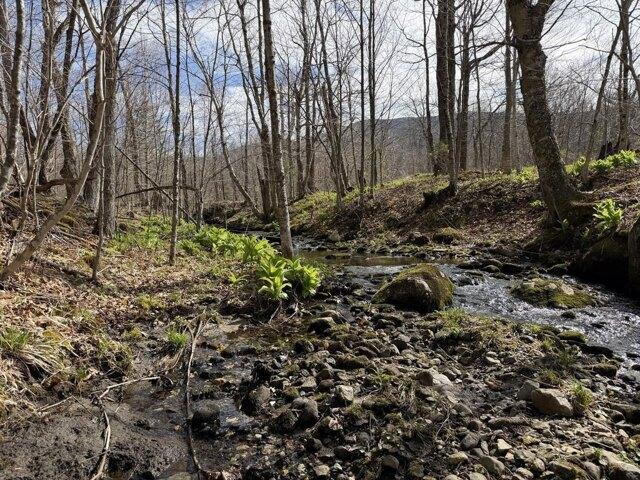 House for sale in Vermont