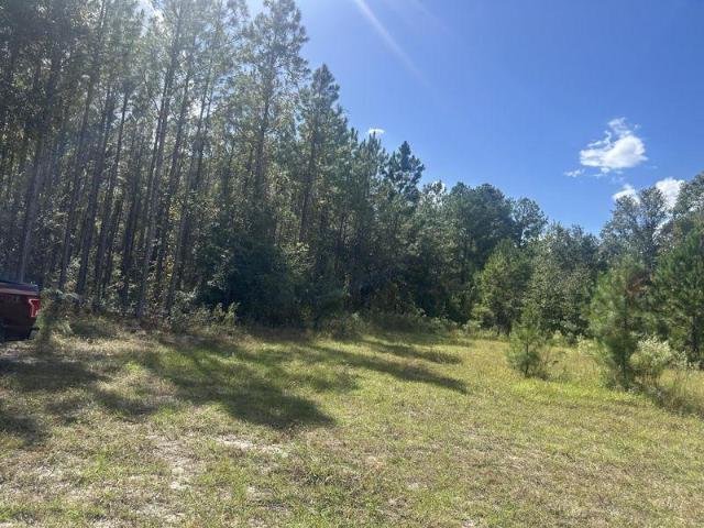 House for sale in Suwannee, Florida