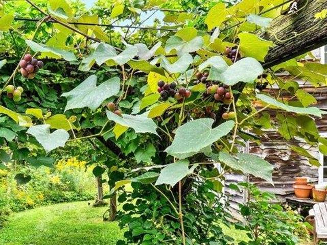House for sale in Monterey, Berkshire County