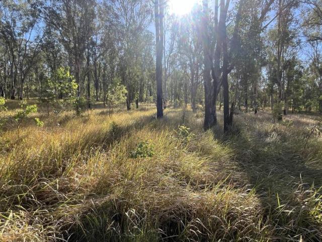 House for sale in New South Wales