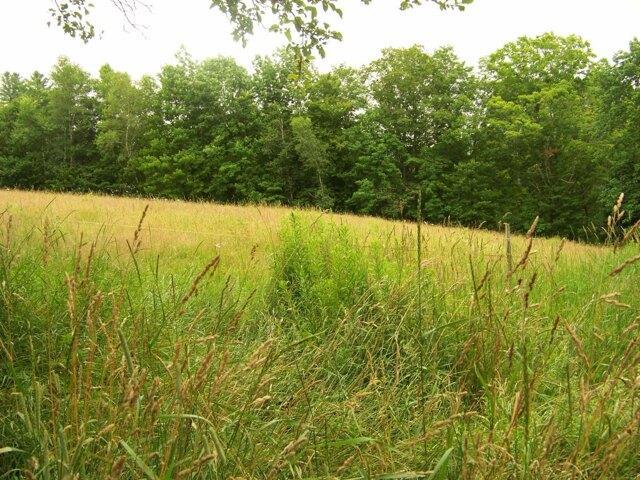 House for sale in Pittsfield, Vermont