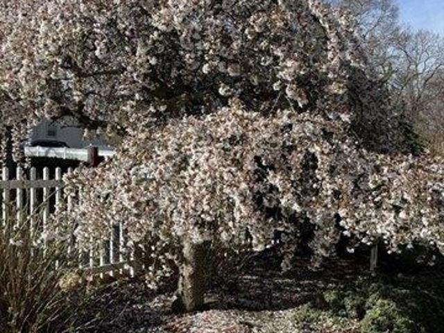 House for sale in Randolph, Massachusetts