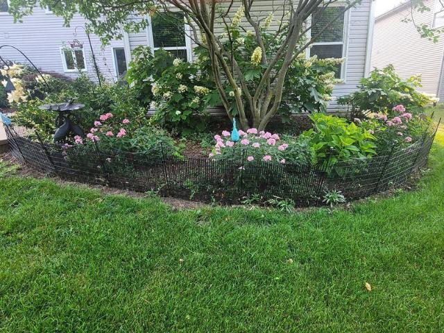 House for sale in South Elgin, Illinois