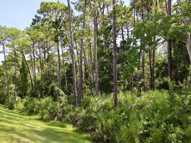 House for sale in Saint Johns, Florida