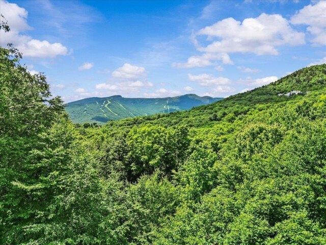 House for sale in Stowe, Vermont