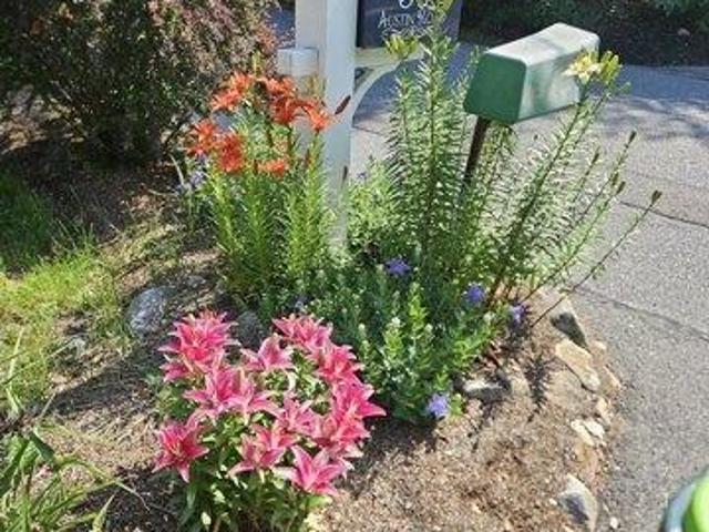 House for sale in Sudbury, Middlesex County
