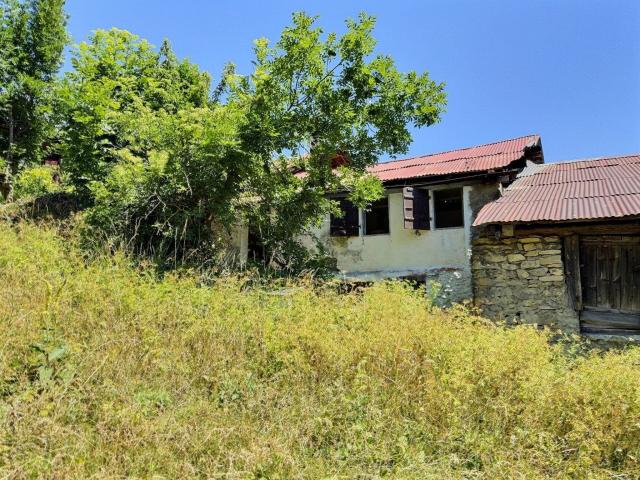 Haus kaufen