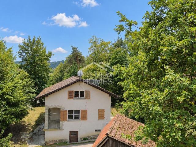 Haus kaufen
