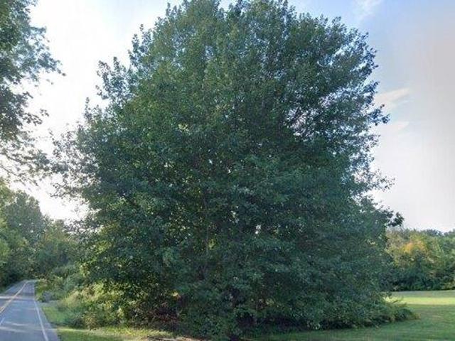 House for sale in Amherst, Massachusetts