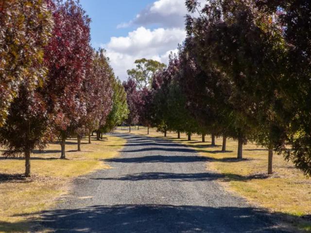 House for sale in Abington, New South Wales