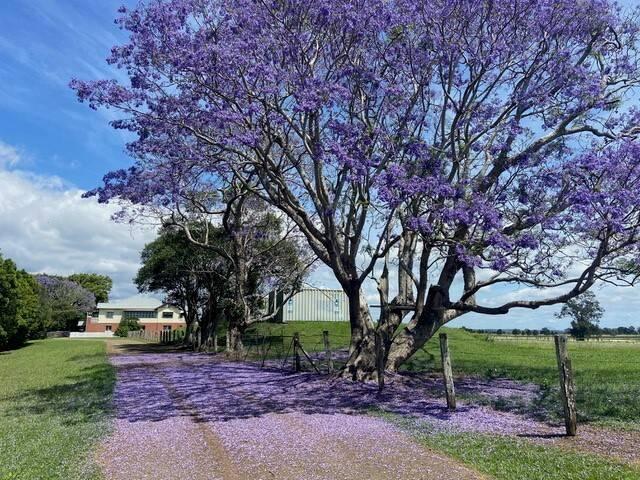House for sale in Belmore River, New South Wales