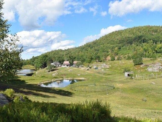 House for sale in New Hampshire