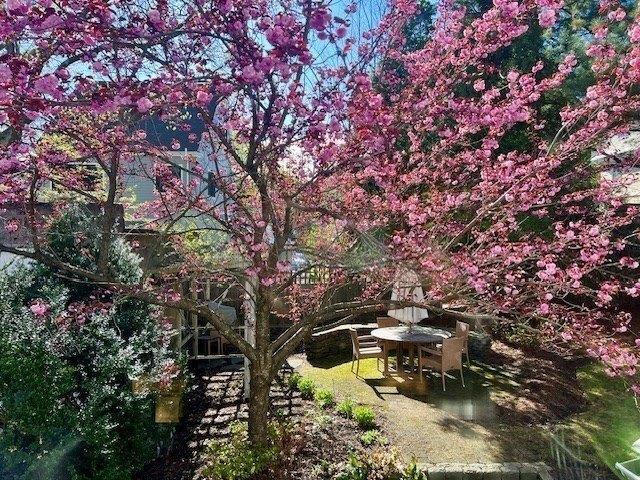 House for sale in Brookline, Massachusetts