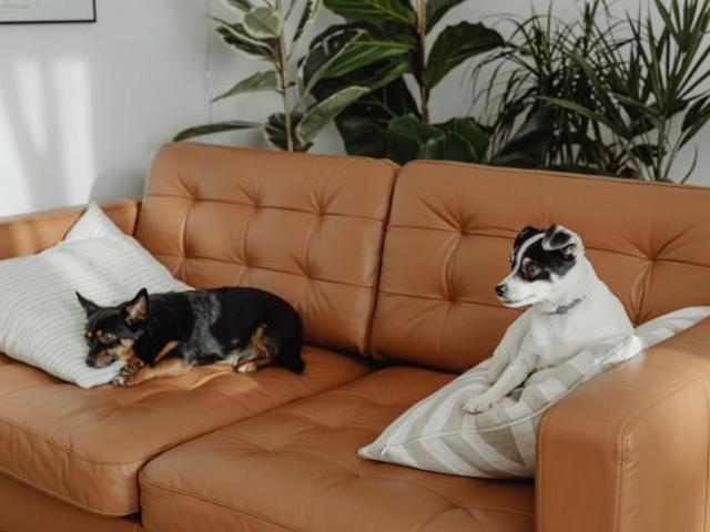 House for sale in Fernbrook, Queensland