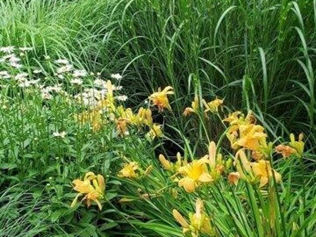 House for sale in Manomet, Massachusetts
