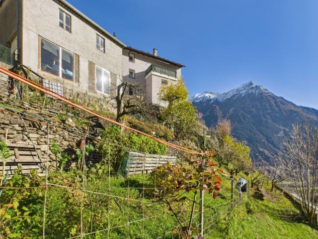 Haus kaufen