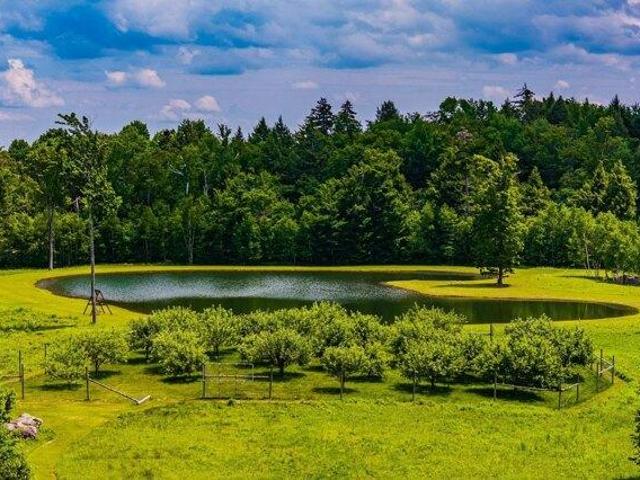 House for sale in Jamaica, Vermont