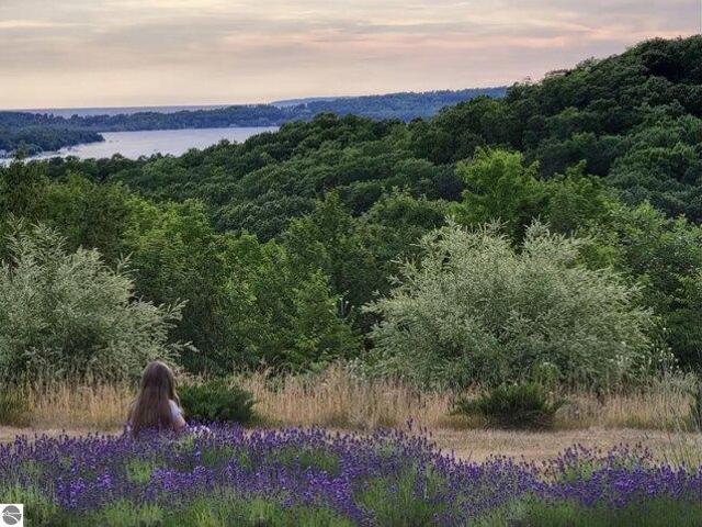 House for sale in Lake Leelanau, Michigan