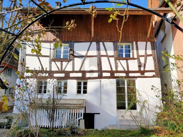Haus kaufen in Wasterkingen, Zürich