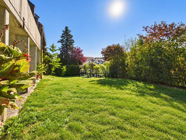 Haus kaufen