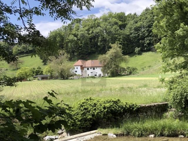 Haus kaufen in Aubonne, Waadt