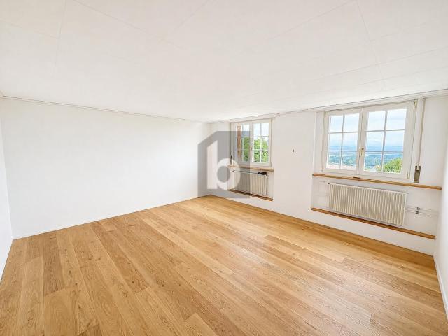 Haus kaufen in Günsberg, Amtei Solothurn-Lebern