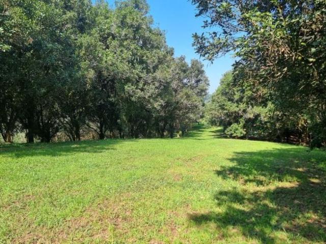 House for sale in Dunoon, New South Wales
