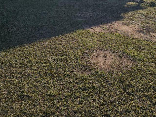 House for sale in Headland, Alabama