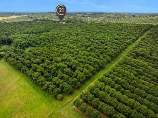 House for sale in Lindendale, New South Wales