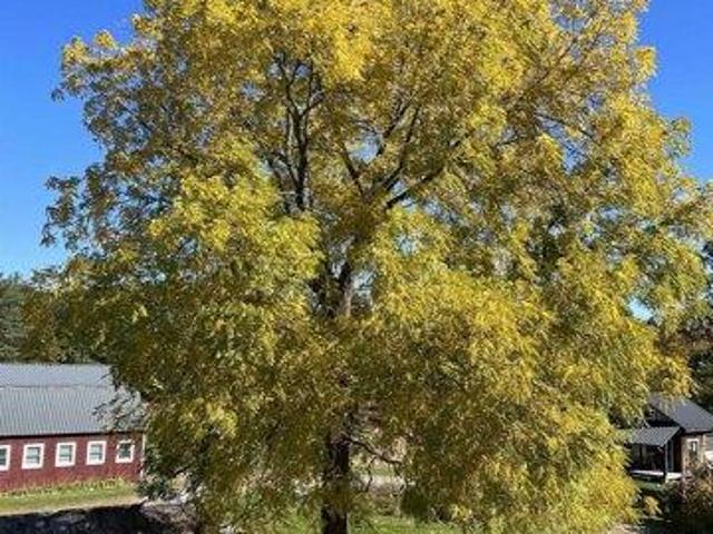 House for sale in Newfane, Vermont