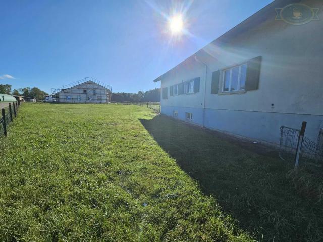 Einfamilienhaus kaufen in Bure, Jura