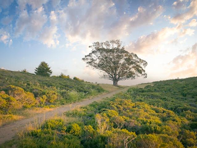 House for sale in Stinson Beach, California