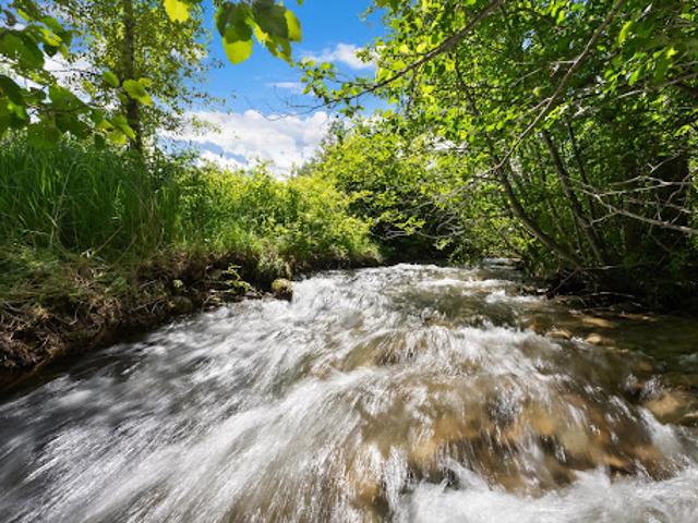 House for sale in Ravalli, Montana