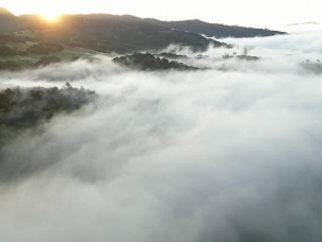 House for sale in Saint Helena, California
